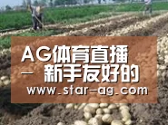 种植基地七(图1)