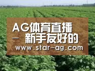 种植基地五(图1)