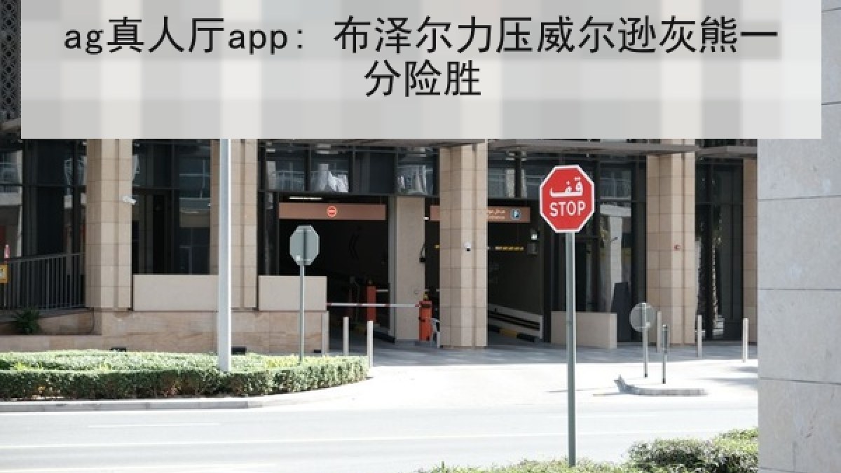 ag真人厅app: 布泽尔力压威尔逊灰熊一分险胜