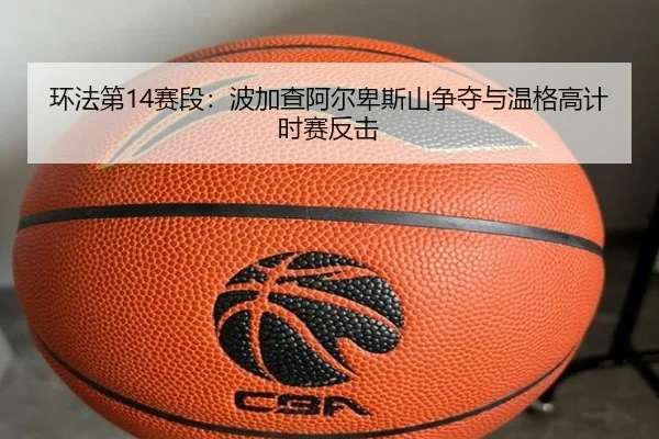 环法第14赛段：波加查阿尔卑斯山争夺与温格高计时赛反击