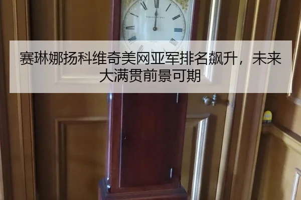 赛琳娜扬科维奇美网亚军排名飙升，未来大满贯前景可期