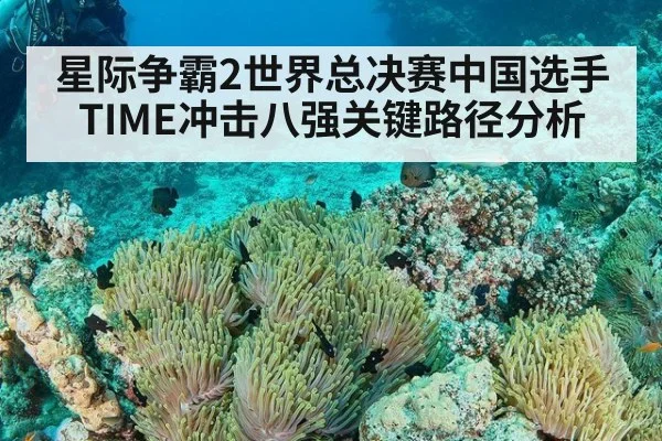 星际争霸2世界总决赛中国选手TIME冲击八强关键路径分析