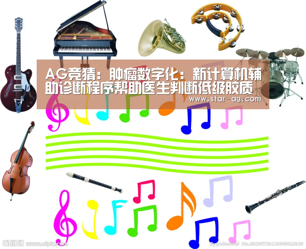 AG电竞