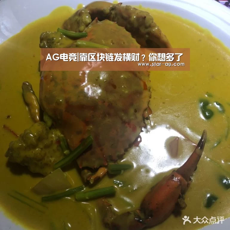 AG电竞|靠区块链发横财?你想多了(图4) AG电竞