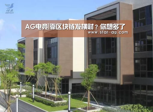 AG电竞|靠区块链发横财?你想多了(图3) AG视讯