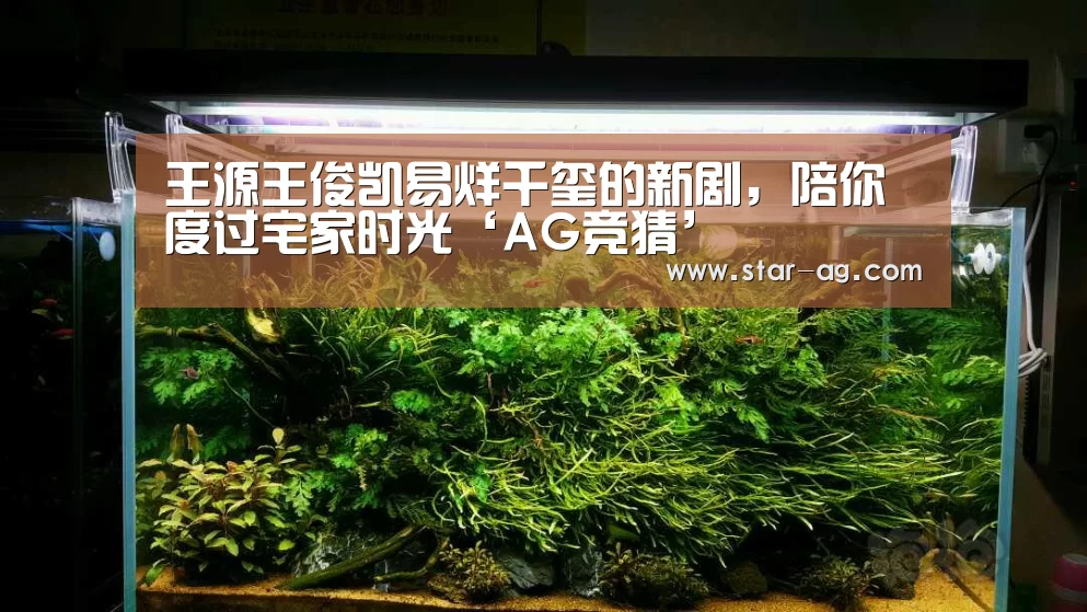 AG视讯