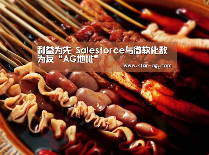 利益为先 Salesforce与微软化敌为友“AG地址”(图1) AG电竞